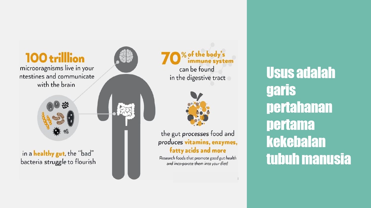 Education content image